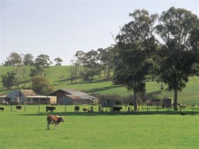 Echunga - Northern Rivers Accommodation 0
