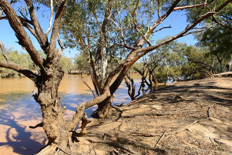 Eulo Five Mile Waterhole - Northern Rivers Accommodation 0