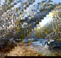 Forest Drive Murrumbidgee Valley National Park - Northern Rivers Accommodation