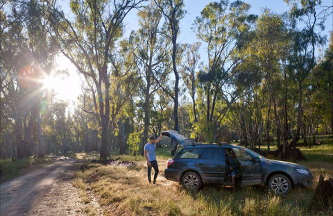 Forest Drive, Murrumbidgee Valley National Park - Northern Rivers Accommodation 0