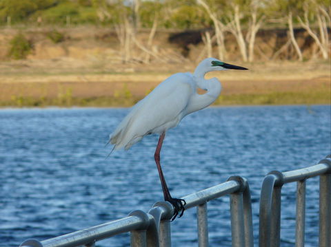 Groper Creek - Northern Rivers Accommodation 0