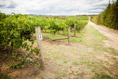 Grove Estate Wines - Northern Rivers Accommodation 0
