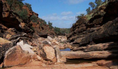 Homestead Gorge Trail - Northern Rivers Accommodation 0