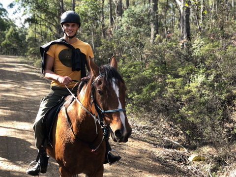 Horse Riding Tasmania - Northern Rivers Accommodation 2