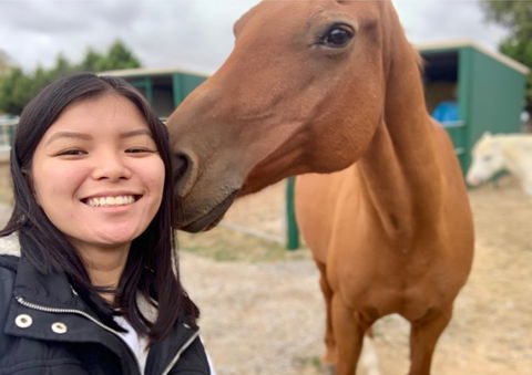 Horses Teaching Humans - Northern Rivers Accommodation 0