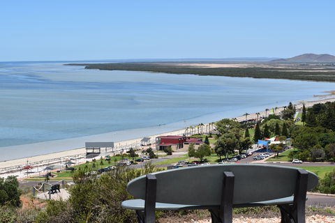 Hummock Hill Lookout - Northern Rivers Accommodation 2