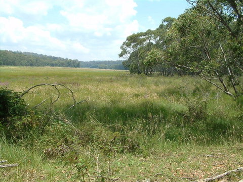 Hume And Hovell Walking Track - Northern Rivers Accommodation 2