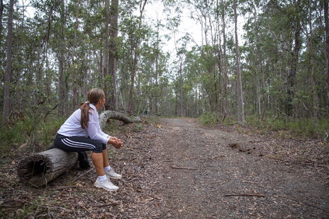 Ironbark Ridge And Spotted Gum Walking Trails - Northern Rivers Accommodation 1