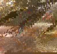 Kholo Gardens Trails - Northern Rivers Accommodation