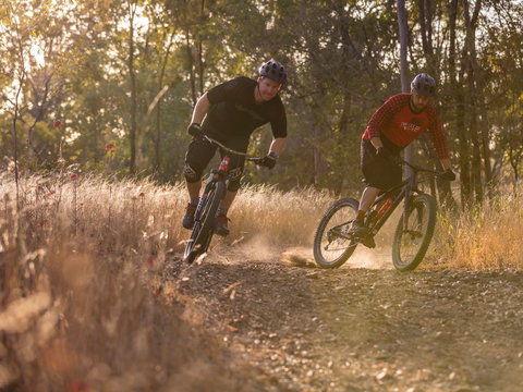 Kholo Gardens Trails - Northern Rivers Accommodation 0