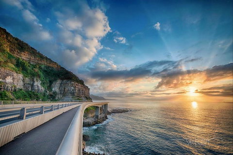 Kramer Photography Rainforest Gallery - Northern Rivers Accommodation 0