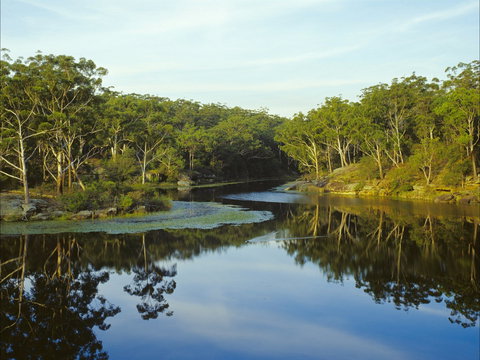 Lake Parramatta Reserve And Recreation Area - Northern Rivers Accommodation 0