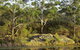 Lake Parramatta Reserve And Recreation Area - thumb 1