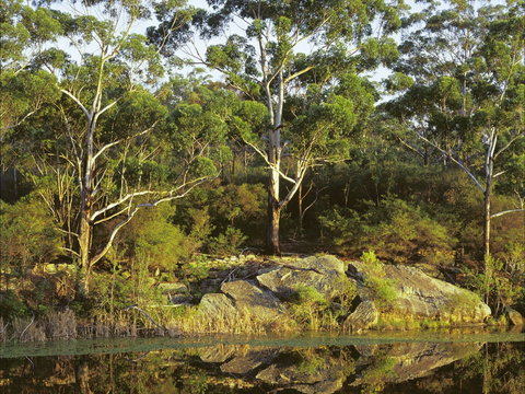 Lake Parramatta Reserve And Recreation Area - Northern Rivers Accommodation 1