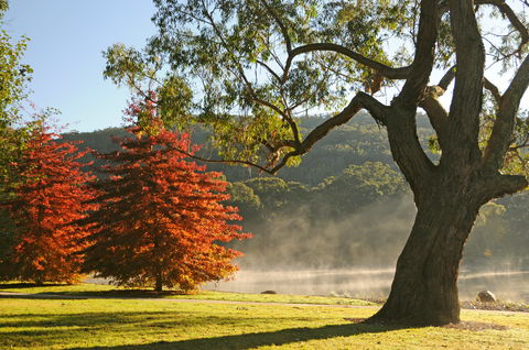 Lake Alexandra Reserve - Northern Rivers Accommodation 2