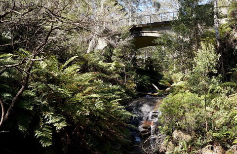 Leura Cascades - Northern Rivers Accommodation 2