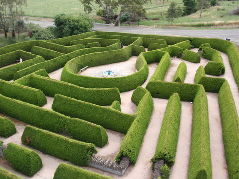 Mintaro Maze - Northern Rivers Accommodation 0