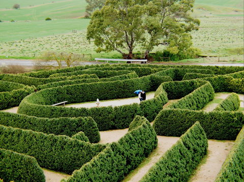 Mintaro Maze - Northern Rivers Accommodation 1