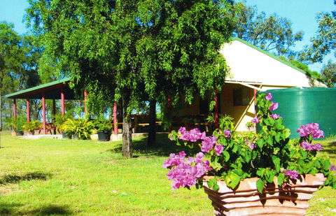 Miners Heritage Walk-In Mine - Northern Rivers Accommodation 0
