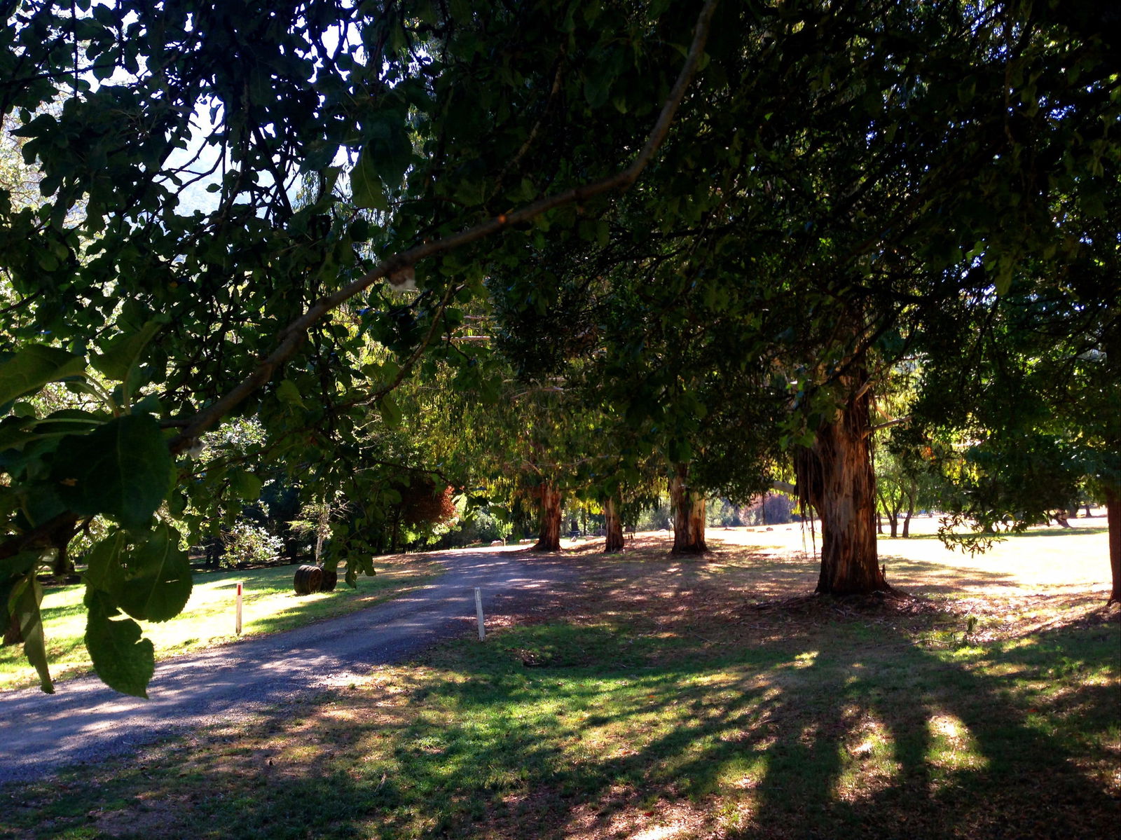 Mirimbah VIC Northern Rivers Accommodation