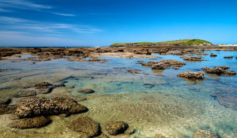 Moonee Beach Trail - Northern Rivers Accommodation 0