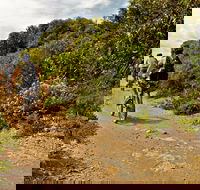Mountain Biking Trails - Northern Rivers Accommodation