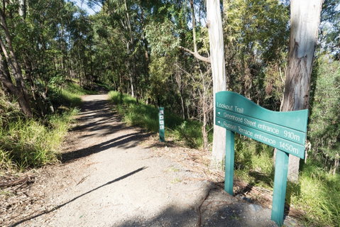 Mt Coot-tha Tourist Drive - Northern Rivers Accommodation 0