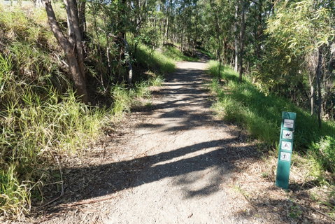 Mt Coot-tha Tourist Drive - Northern Rivers Accommodation 2