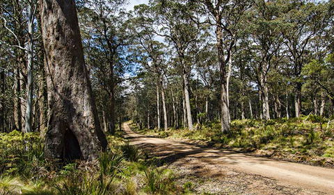Mummel Gulf National Park - Northern Rivers Accommodation 1