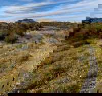 Murramarang Aboriginal Area Walking Track - Northern Rivers Accommodation