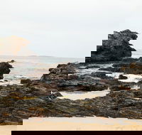 Mystery Bay Short Walk - Northern Rivers Accommodation
