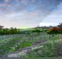 Nature and Foodies Trail - Northern Rivers Accommodation
