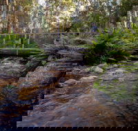 O'Neills Creek picnic reserve - Northern Rivers Accommodation