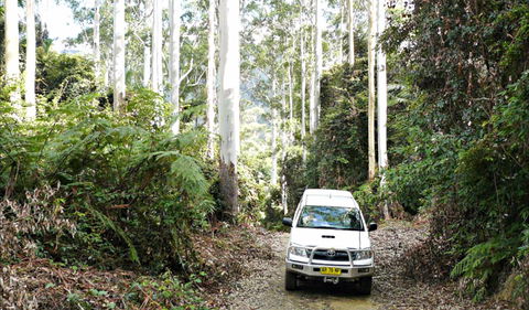 Orara Escarpment 4WD Touring Route - Northern Rivers Accommodation 0