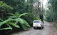 Orara Escarpment 4WD Touring Route - thumb 1