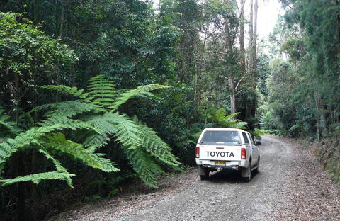 Orara Escarpment 4WD Touring Route - Northern Rivers Accommodation 1