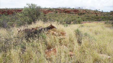 Original Glen Helen Homestead - Northern Rivers Accommodation 1