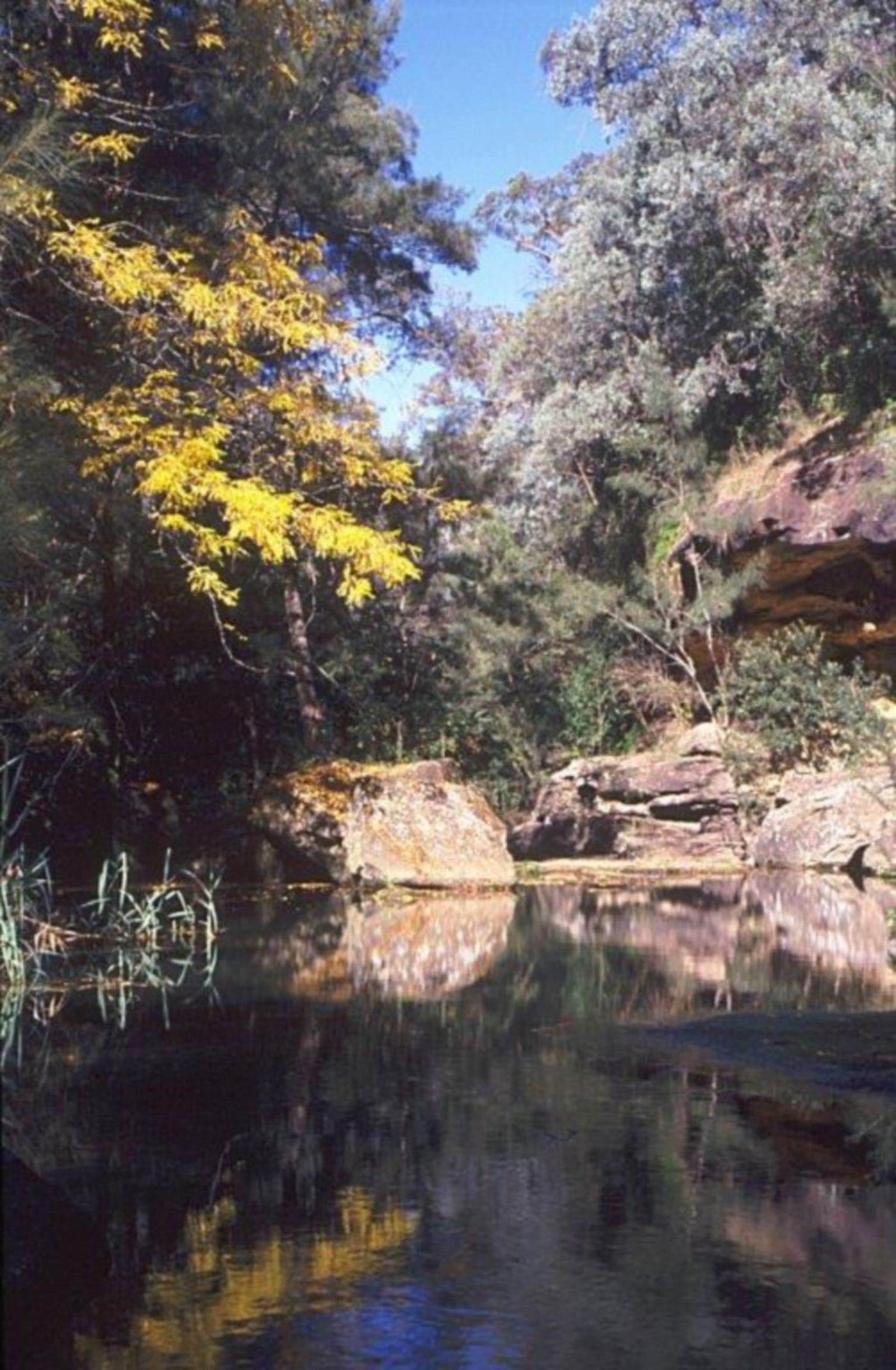 Pheasants Nest NSW Northern Rivers Accommodation