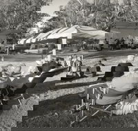 Pioneer Park - Northern Rivers Accommodation