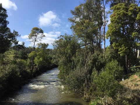 Pipers River Board Walk - Northern Rivers Accommodation 1