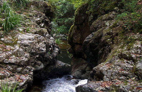 Potoroo Falls Walk - Northern Rivers Accommodation 0