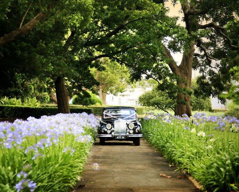Queens Park, Toowoomba - Northern Rivers Accommodation 2