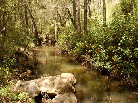 Sandy Creek Track - Northern Rivers Accommodation 0