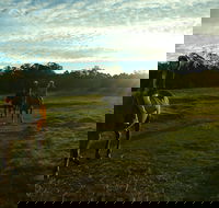 Scenic NSW Horse Riding Centre - Northern Rivers Accommodation