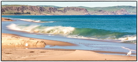 Starfish Hill Windfarm - Northern Rivers Accommodation 0