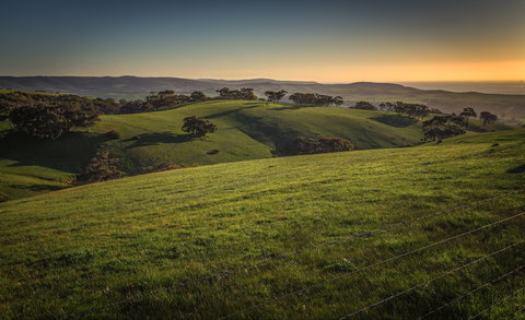 Starfish Hill Windfarm - Northern Rivers Accommodation 1
