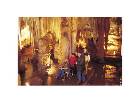 Tantanoola Caves - Northern Rivers Accommodation 0