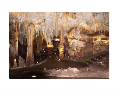 Tantanoola Caves - Northern Rivers Accommodation 1