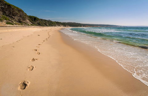 Terrace Beach And Lennards Island - Northern Rivers Accommodation 0