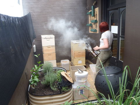 The Urban Beehive Port Botany - Northern Rivers Accommodation 0